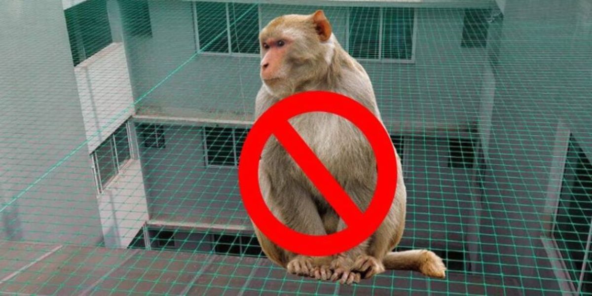 Monkey Safety Nets in Coimbatore