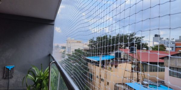 Pigeon Control Service Near Me in Coimbatore