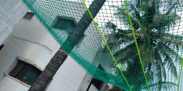 Coconut Tree Safety Nets in coimbatore