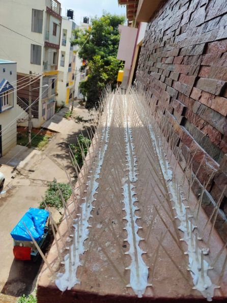 Bird and Pigeon Spikes in Coimbatore
