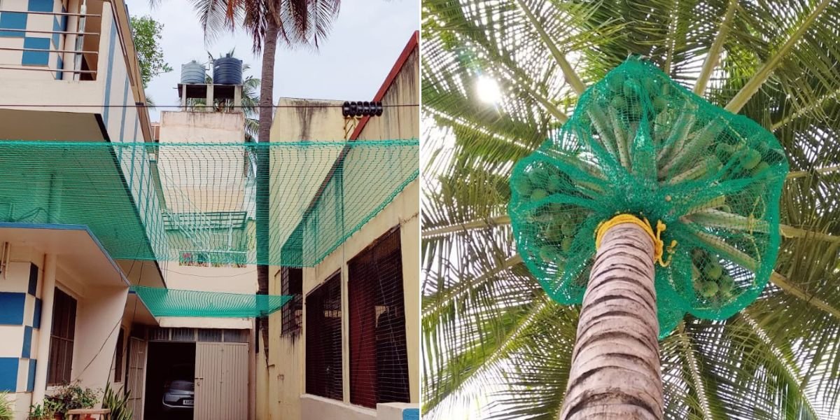 Coconut Tree Safety Nets in Coimbatore