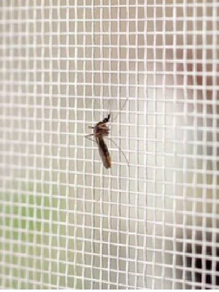 Mosquito Nets in Coimbatore